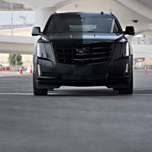 front Grill dechroming by Premium Car Hub